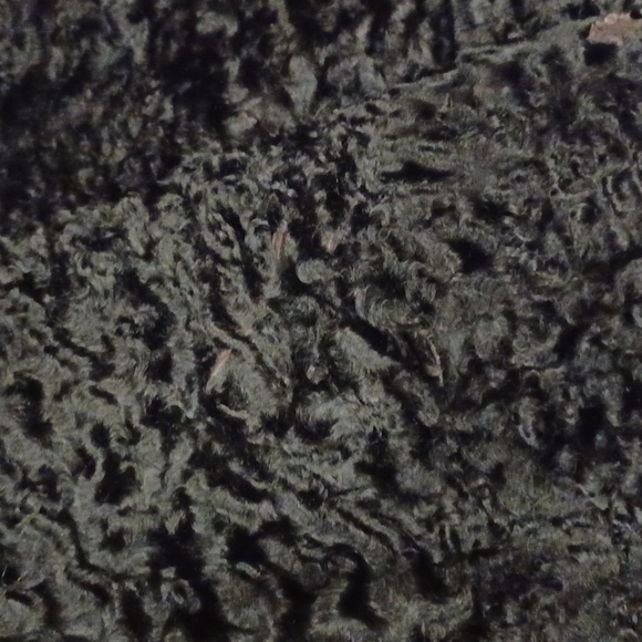 Genuine Persian Lamb Cropped 3/4 Sleeve Jacket- Sz. Med - Picture 14 of 14